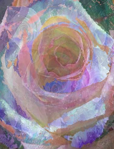"Translucent Shimmering Pink Violet Rose for Mary xo" thumb