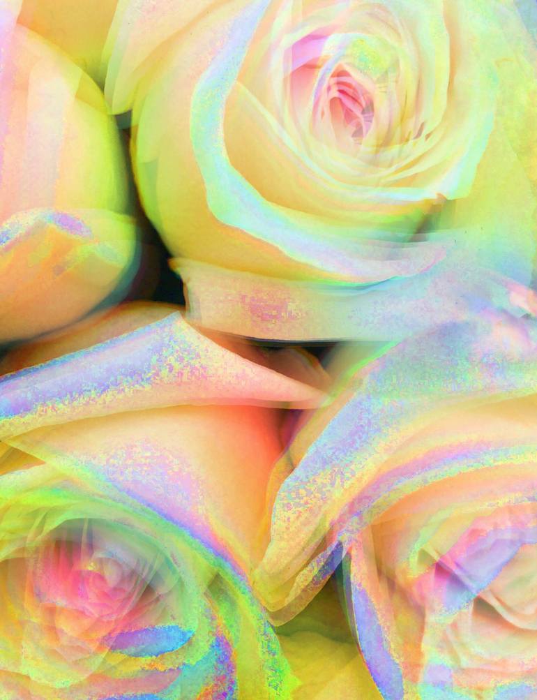 Roses for You Divine Delight Flowers in Rainbow Glitter Photography  Photography by Grace Divine