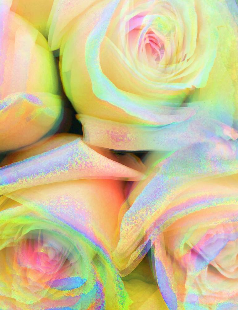 Roses for You Divine Delight Flowers in Rainbow Glitter Photography  Photography by Grace Divine