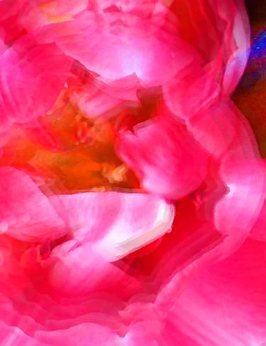 Original Abstract Expressionism Floral Photography by Grace Divine