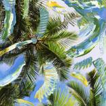 Collection Inspired by David Hockney