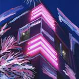 Collection Miami Modern