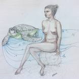 Collection Nude Women With Endangered Species of Animals