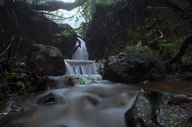 The Rainforest and waterfall thumb