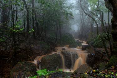 Print of Nature Photography by Bhavya joshi