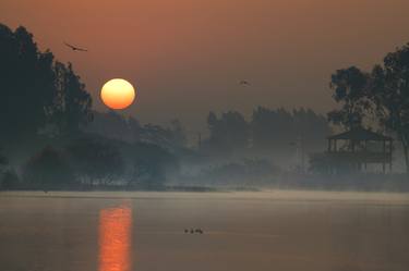 Print of Art Deco Nature Photography by Bhavya joshi