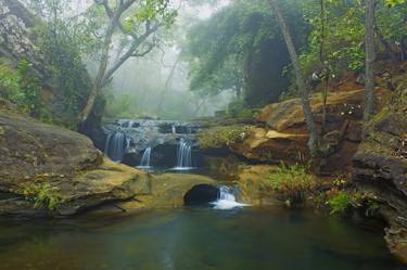 Original Nature Photography by Bhavya joshi