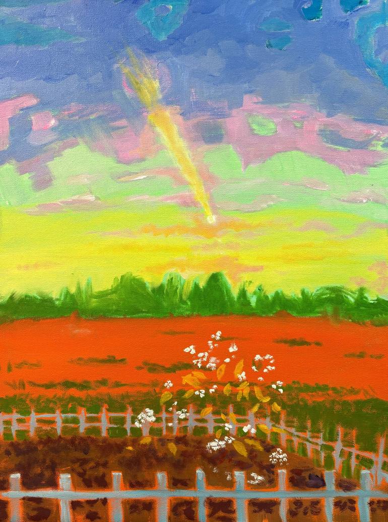 Original Contemporary Nature Paintings by Susan Stewart