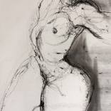 44*32cm, Nude Charcoal and ink by Claire ADB