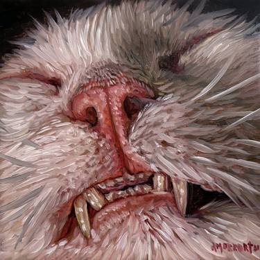 Original Conceptual Animal Paintings by JC Amorrortu