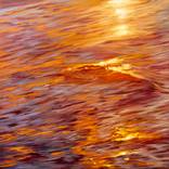 Liquid Light: Love by JC Amorrortu