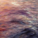 Liquid Light: Acceptance by JC Amorrortu