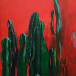 RED CACTUS by Viktoriia Dmytriv