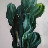 Cactus G by Viktoriia Dmytriv