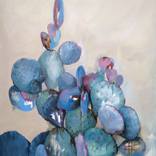 Fairy cactus by Viktoriia Dmytriv