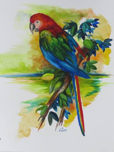 Tropical Scarlet Macaw thumb