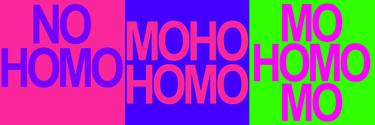 No Homo Mo Homo - Limited Edition of 4 thumb