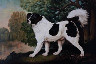 Nelson, a Newfoundland after George Stubbs thumb