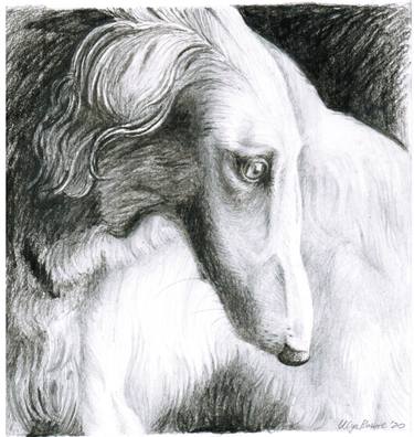 Print of Fine Art Animal Drawings by Ulyana Krutova