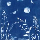 He Woke With The Moon by Brooke Sauer