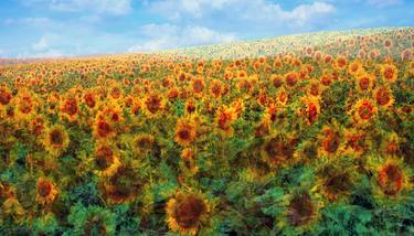 Sunflower Field - Limited Edition 1 of 20 thumb