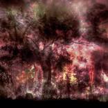 Amazon on Fire - Limited Edition of 100 by Mohammad Rakibul Hasan