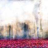 Apocalypse - Limited Edition of 50 by Mohammad Rakibul Hasan