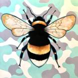 Camo Bee by Robert Yi