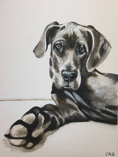 Original Realism Dogs Paintings by Christine Gupta