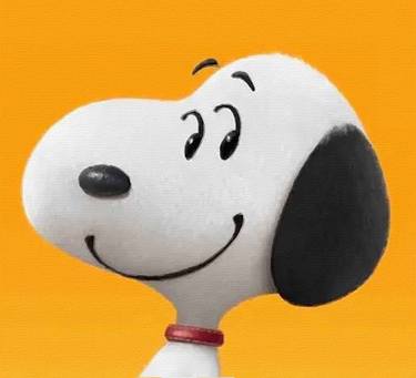 Snoopy And Woodstock Charlie Brown Peanuts 9 thumb