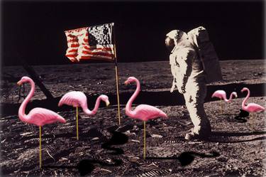 Space Travel And Flamingos on The Moon thumb