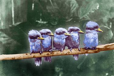 Little Birds On A Branch thumb