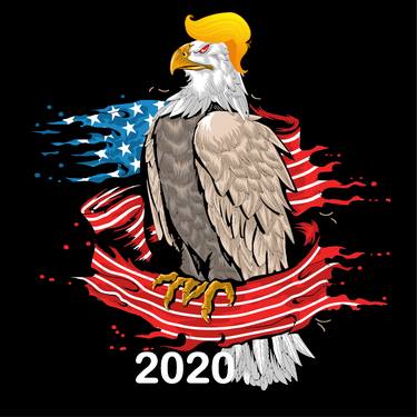 Skull with iconic Trump Hair Eagle president Flag America Tees thumb