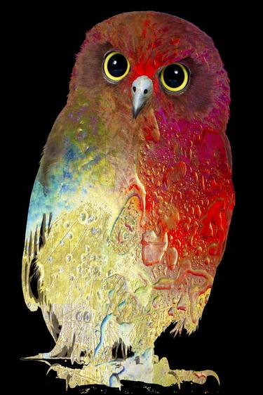 Owl Colorful Rainbow thumb