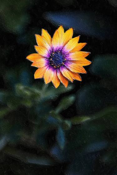Zen Solo Flower In Beautiful Garden thumb