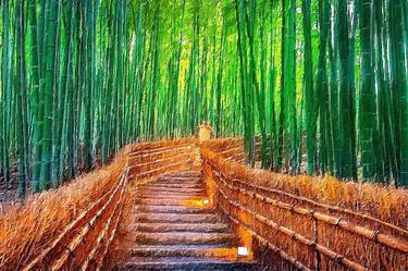Rubino Japan Japanese Bamboo Path thumb