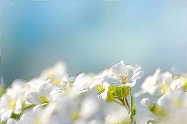 Flowers In Field Floral Landscape Detail Soft thumb