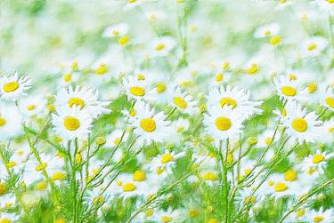 Flowers In Field Floral Landscape Detail Green thumb