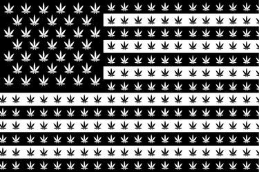 American Flag Weed Cannabis Marijuana 420 Stoner Gift - Limited Edition of 1 thumb