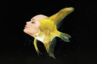 Original Pop Art Fish Digital by Tony Rubino