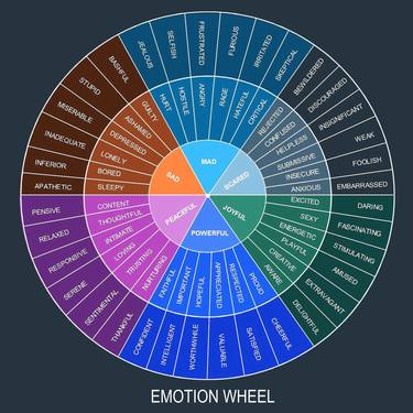 Emotions Wheel Zen Good Vibes - Limited Edition of 1 thumb
