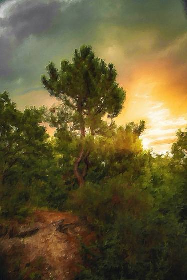 Classic Trees Forest Sky Sunrise Sunset Landscape - Limited Edition of 1 thumb
