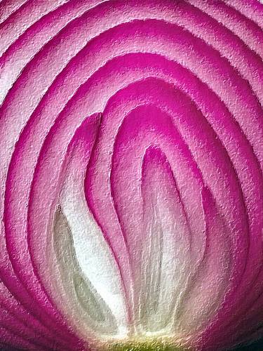 Red Onion Abstract Close Up Painting For Kitchen Dining - Limited Edition of 1 thumb