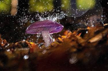 Purple Mushroom Forest Rain Cool - Limited Edition of 1 thumb