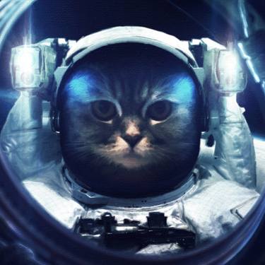 Cat at spacewalk Cosmic art, science fiction wallpaper. Beauty - Limited Edition of 1 thumb