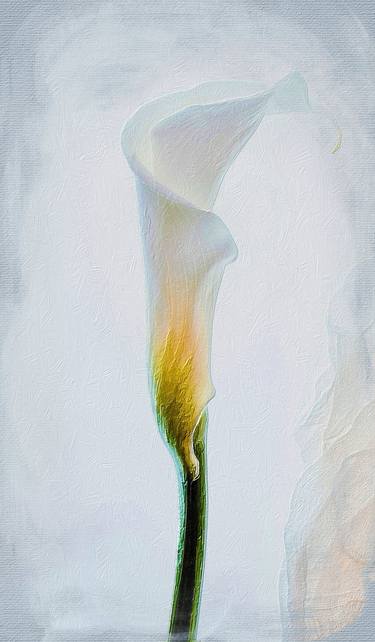 Original Impressionism Floral Digital by Tony Rubino