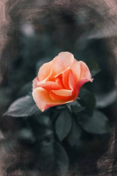 Original Floral Digital by Tony Rubino