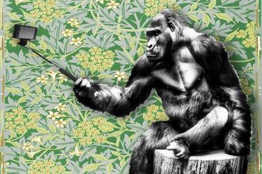 Free gorilla holding selfie stick image, public domain CC0 photo - Limited Edition of 1 thumb