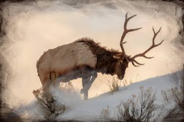 Elk Deer Bull Mountain Wildlife Hunting - Limited Edition of 1 thumb