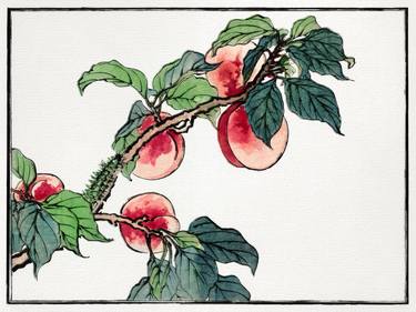 Peach Tree Japanese Peaches Painting Print - Limited Edition of 1 thumb